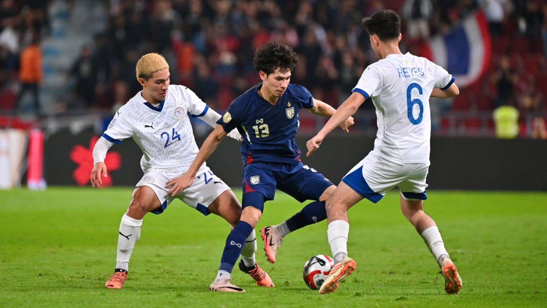 例如樊振东 例如樊振东